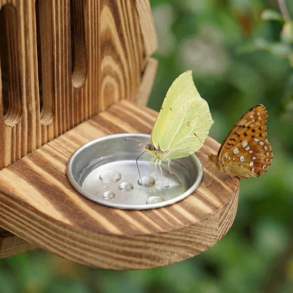 Butterflies using the built-in puddling tray