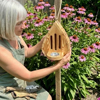 Butterfly House beside coneflowers